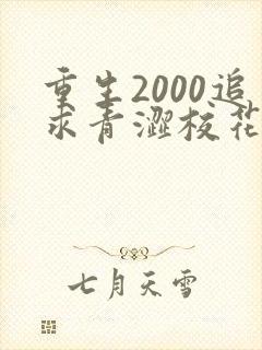 重生2000追求青涩校花同桌开始在线全文阅读