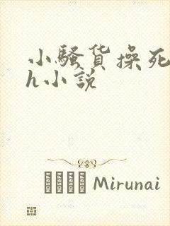 小骚货操死你高h小说