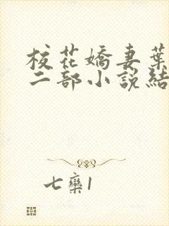 校花娇妻叶子第二部小说结局