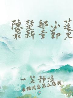 陈楚那小莲小说最新章节免费阅读