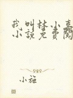 我叫林小喜全文小说免费阅读