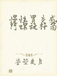 慢性胃炎感染幽门螺旋杆菌