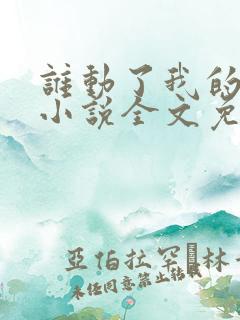 谁动了我的老婆小说全文免费阅读一