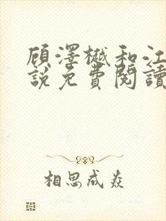 顾泽樾和江茗小说免费阅读