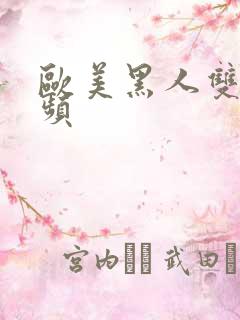 欧美黑人双插视频