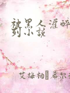 被黑人灌醉强系列小说