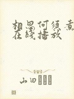 相思何须煮余年在线播放