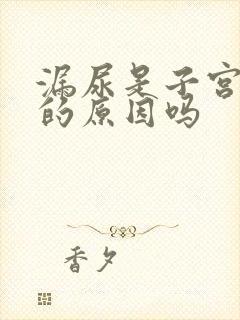 漏尿是子宫脱垂的原因吗