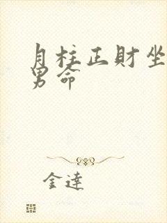 月柱正财坐正财男命