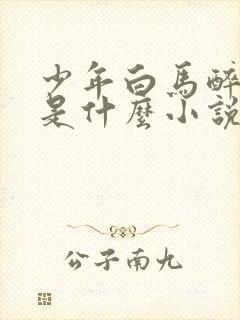 少年白马醉春风是什么小说改编的