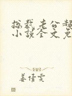 总裁老公超棒的小说全文免费阅读