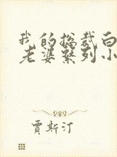 我的总裁白富美老婆系列小说