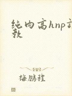 纯肉高hnp调教