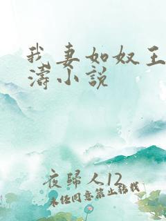 我妻如奴王琳陈涛小说