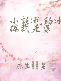 小说:我的冰山总裁老婆