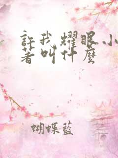 许我耀眼小说原著叫什么