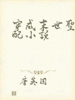 穿成末世圣母女配小说