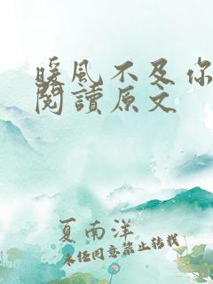 暖风不及你情深阅读原文