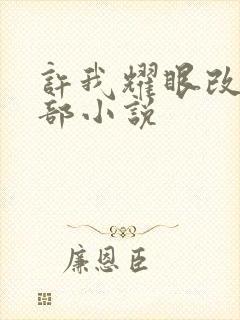 许我耀眼改编哪部小说