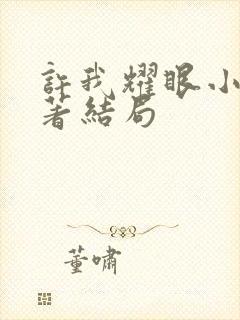 许我耀眼小说原著结局