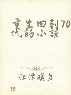 重生回到70年代的小说