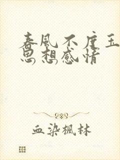 春风不度玉门关思想感情