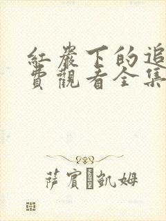 红岩下的追捕免费观看全集