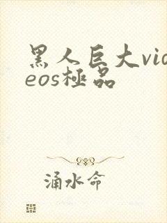 黑人巨大videos极品