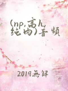 (np,高h,纯肉)音频