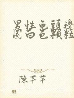 男性龟头边缘一圈白色颗粒