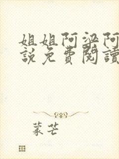 姐姐阿梁阿妍小说免费阅读最新章节