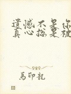 遗憾不是你偏爱真心总是被伤害什么歌