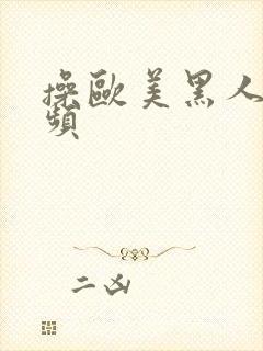 操欧美黑人逼视频