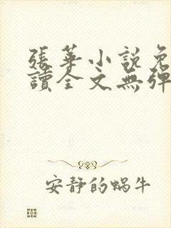 张华小说免费阅读全文无弹窗