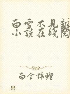 白雪不见离人愁小说在线阅读
