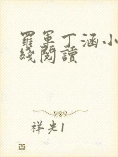 罗军丁涵小说在线阅读