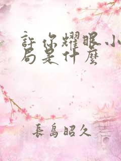 许你耀眼小说结局是什么