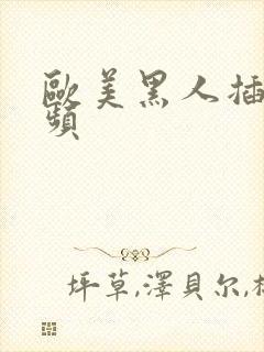 欧美黑人插b视频