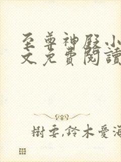 至尊神殿小说全文免费阅读无弹窗