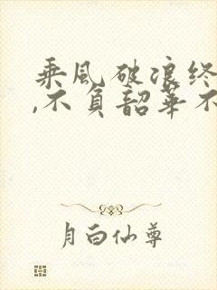 乘风破浪终有时,不负韶华不负卿