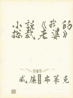 小说《我的冰山总裁老婆》