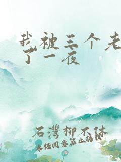 我被三个老外插了一夜