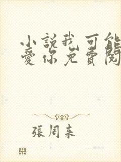 小说我可能不会爱你免费阅读