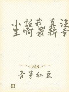 小说我真没想重生啊最新章节列表最