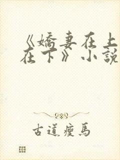 《娇妻在上总裁在下》小说