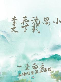 李兵沈思小说全文下载