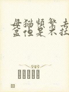 母猫频繁去猫砂盆但是不拉不尿