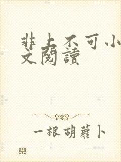 非上不可小说全文阅读