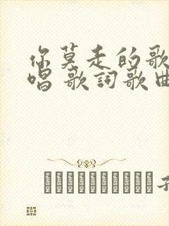 你莫走的歌词原唱 歌词歌曲