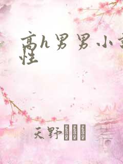 高h男男小说双性